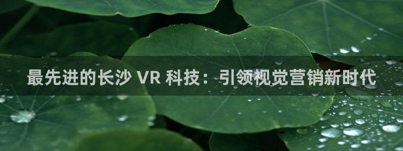 金年会金字招牌诚信至上