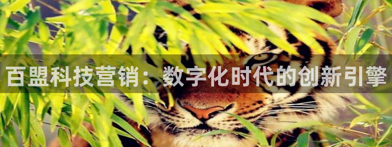 金年会电子官网下载