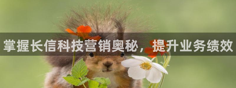 金年会手机版官方下载