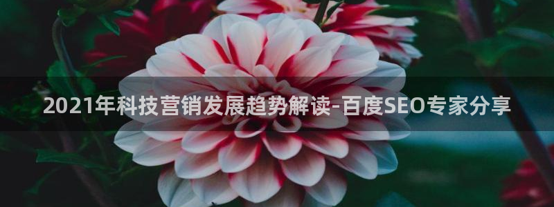 金年会官方体育频道直播
