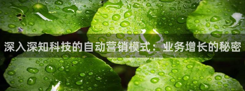 金年会体育app最新官网入口