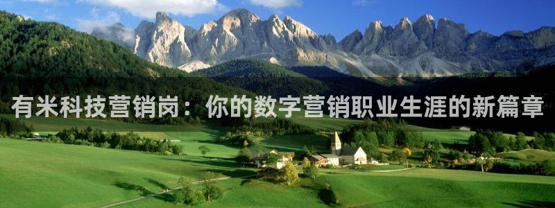 金年会体育平台合法吗