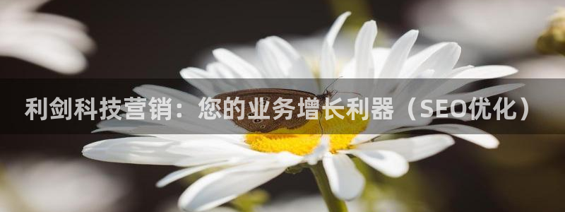 金年会手机版官方下载