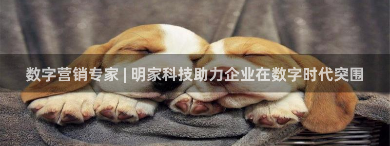 金年会app是不是钓鱼软件