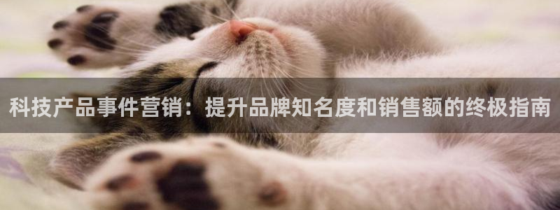 金年会app平台有人玩过吗