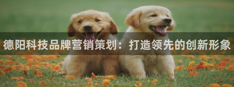 金年会网站拒绝出款怎么解决?