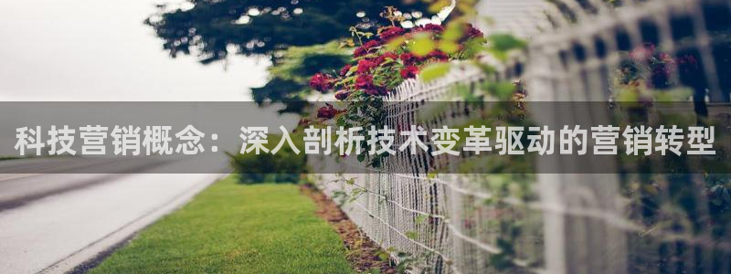 jinnianhui金年会世界杯