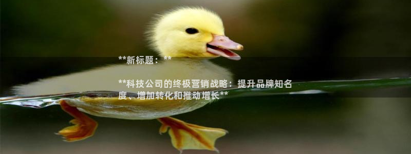 金年会体育一直输