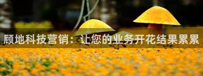 金年会网站不给提现怎么办?