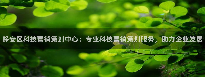 金年会信誉至上是什么意思