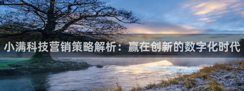 金年会官方入口APP