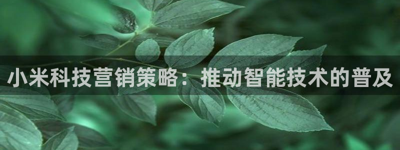 金年会官方娱乐app