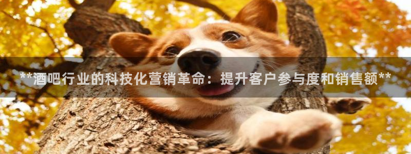金年会官方体育登陆入口